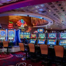 login koitoto live dealer studio HD blackjack table with professional dealer